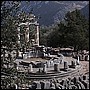 Delphi Aphro.JPG